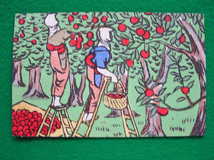 e5-274　絵葉書　創作版画　「林 檎 収 穫」　加藤哲之助 自刻自摺