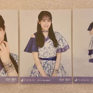 元乃木坂46 向井葉月 生写真 真夏の全国ツアー衣装2 3種コンプ