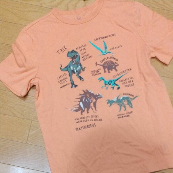 GAP Tシャツ 恐竜 ダイナソー 150