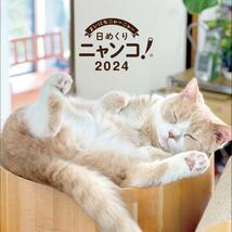 日めくりニャンコ2024卓上カレンダー！猫写真＆メモ欄付き 猫 机 デスク_画像1