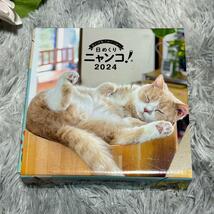 日めくりニャンコ2024卓上カレンダー！猫写真＆メモ欄付き 猫 机 デスク_画像7