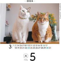 日めくりニャンコ2024卓上カレンダー！猫写真＆メモ欄付き 猫 机 デスク_画像6