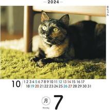 日めくりニャンコ2024卓上カレンダー！猫写真＆メモ欄付き 猫 机 デスク_画像5