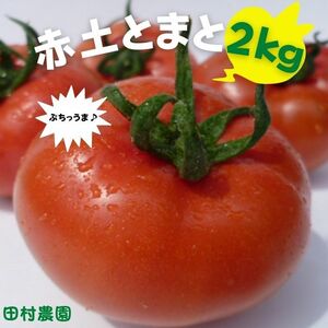 Mサイズ（14-16玉）赤土トマト ２ｋｇ 大玉トマト 大玉とまと 高糖度 トマトとまと 旨味 ミネラル成分 豊富 プレミアム ビタミンC リコピン