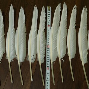 グース（Goose）の羽根 左右各10枚 近的矢と遠的矢 其々6本組めるセットの画像1