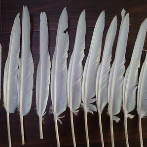 グース（Goose）の羽根 左右各10枚 近的矢と遠的矢 其々6本組めるセットの画像4
