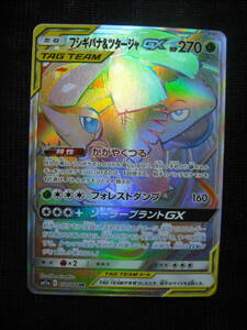 フシギバナ&ツタージャ GX SM11a 074 HR ハイパーレア ポケモンカード Hyper Rare GX Cards TAG TEAM 