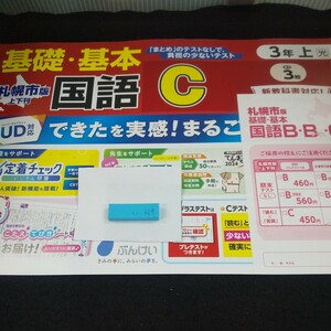 い-064 札幌市版 基礎・基本 国語C 3年 上 ぶんけい 問題集 プリント 学習 ドリル 小学生 テキスト テスト用紙 教材 文章問題 計算※11