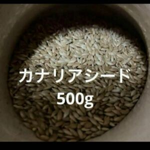 カナリアシード　500g