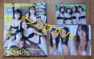 NMB48 塩月・坂田・川上・上西・隅野・和田 BOMB 2023年 11月号 特典 ポストカード 3枚付 (新品シュリンク未開封)ポスター・応募券類付き