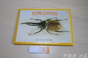 1-3029【絵葉書】世界の甲虫 国立科学博物館 12枚袋