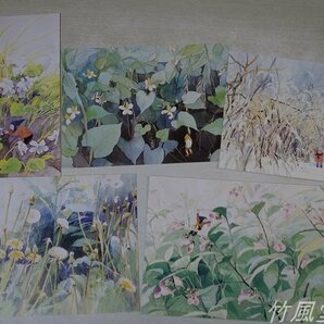 1-2431【絵葉書】安野光雅 絵本の世界 5枚袋の画像2