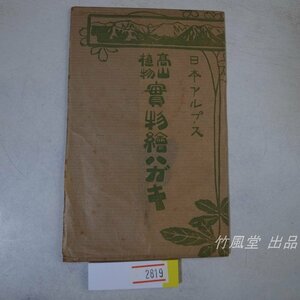 1-2819【絵葉書】日本アルプス 高山植物 実物 標本 4枚袋