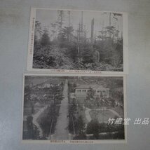 1-2834【絵葉書】京都帝国大学 農学部付属 演習林 12枚袋_画像2