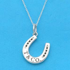 【送料無料】 極希少 美品 Tiffany&Co. ティファニー ホースシュー シルバー ネックレス SV925 馬蹄 T&CO ロゴ HA39の画像1