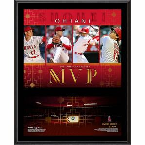 大谷翔平選手 2023 MVP フォトフレーム フォトプラーク フォトミント 写真 ボール フォト 記念品 メジャーリーグ 限定品 MLB グッズ 記念の画像1