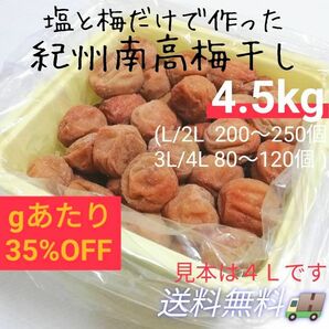 【最高級！大容量4.5kg】紀州南高梅白干し