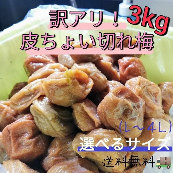 【訳アリ！ちょい切れ3kg】紀州南高梅白干し