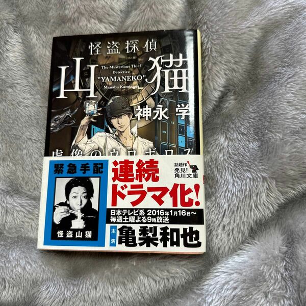 怪盗探偵山猫2 虚像のウロボロス