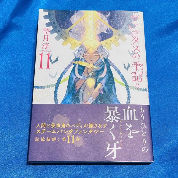 ヴァニタスの手記 望月淳 11巻