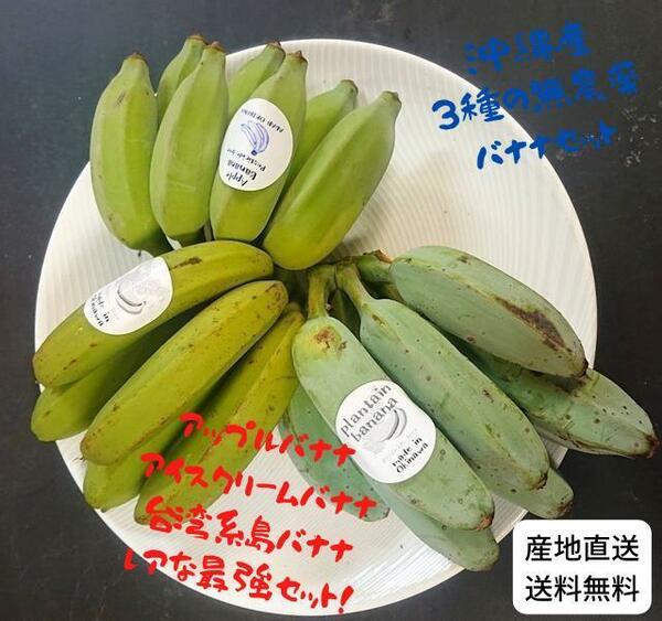 沖縄本島北部産！人気の国産バナナ３種！食べ比べ！３種バナナセット！ 