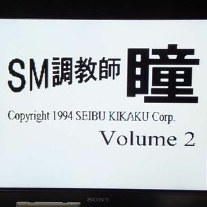 ＳＭ調教師 瞳 Volume 2の画像3