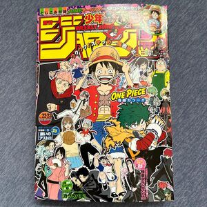 週刊少年ジャンプ　2024 22.23合併号　巻頭カラー　ワンピース