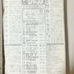 TF玩 N1221 週刊少年ジャンプ ドラゴンボール 1993 ３ ４ スラムダンクカレンダー ドラゴンボール 巻頭カラー    の画像6