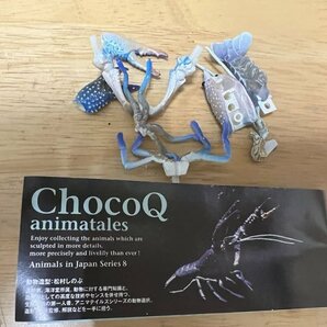 海洋堂 チョコQ 日本の動物 アメリカザリガニ（青）の画像1