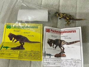 恐竜模型図鑑★C.C.ザウルス★パキケファロサウルス★A、Bカラー　２種
