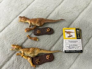 海洋堂　UHA味覚糖 チョコラザウルス １弾　ティラノサウルス　色違い２種