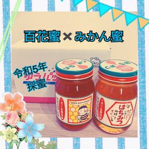 はちみつ みかん蜜600g百花蜜600ｇ