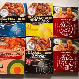 大塚食品/ボンカレー辛口/大辛口/カレーうどんの素辛口/6点セット