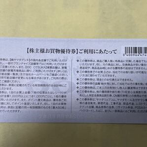 【3000円分】ヤマダ電機 株主優待券 2024/6/30期限 500円6枚 PayPay クレジットカードOKの画像2