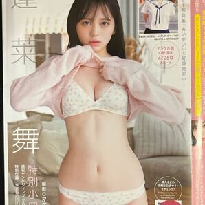 蓬莱舞★小冊子6点セット！の画像2