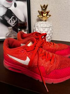 NIKE エアーマックス 23cm