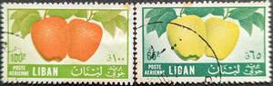 【外国切手】 レバノン 1955年10月15日 発行 航空便 - 果物 シドニア・オブロンガ 消印付き