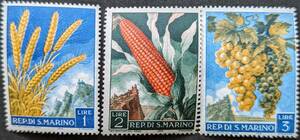 【外国切手】 サンマリノ 1958年09月01日 発行 果物 未使用