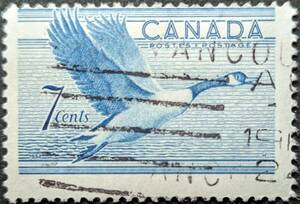 [ foreign stamp ] Canada 1952 year 11 month 03 day issue birds - Canada Goose -2. seal attaching 