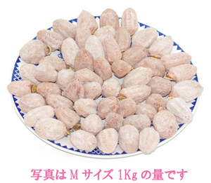 自家製直販 南信州市田柿　干し柿　Ｍサイズ ２Ｋｇ (1個15g～20g) クール便発送　①