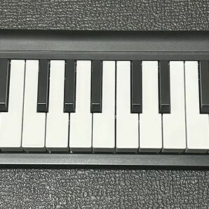 KORG microKEY 本体のみの画像1