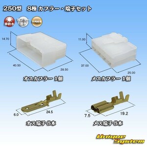 矢崎総業 250型 8極 カプラー コネクター・端子セット