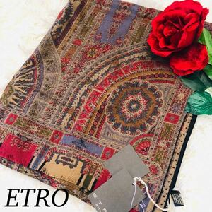 ETRO エトロ 女性 レディース スカーフ マフラー ブランドスカーフ ブランドマフラー 茶 ブラウン 新品未使用 タグ付き 66×156cm