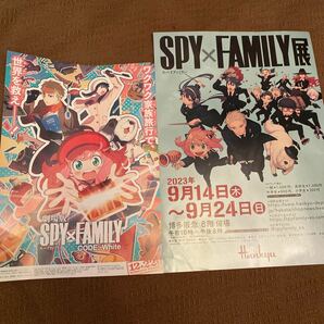 SPY×FAMILY 映画 チラシ フライヤー 劇場版SPY×FAMILY CODE:White SPY×FAMILY展 アーニャ ロイドフォージャー ヨルフォージャーの画像1