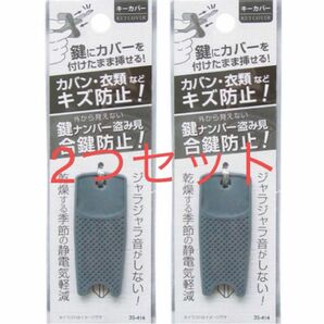 鍵ナンバー盗み見防止キーカバー　ルームキーカバー　防犯グッズ　キーカバー　グレー　まとめ売り　