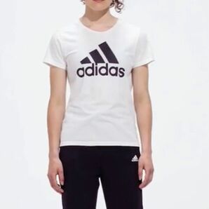 adidas アディダス 半袖Tシャツ　レディース　トップス　白　春　夏　M 半袖Tシャツ Tシャツ 半袖 ホワイト