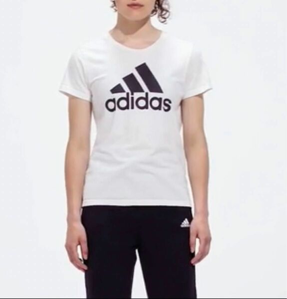 adidas アディダス 半袖Tシャツ　レディース　トップス　白　春　夏　M 半袖Tシャツ Tシャツ 半袖 ホワイト