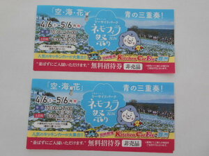 ネモフィラ祭り　招待券2枚　即決は送料無料とします