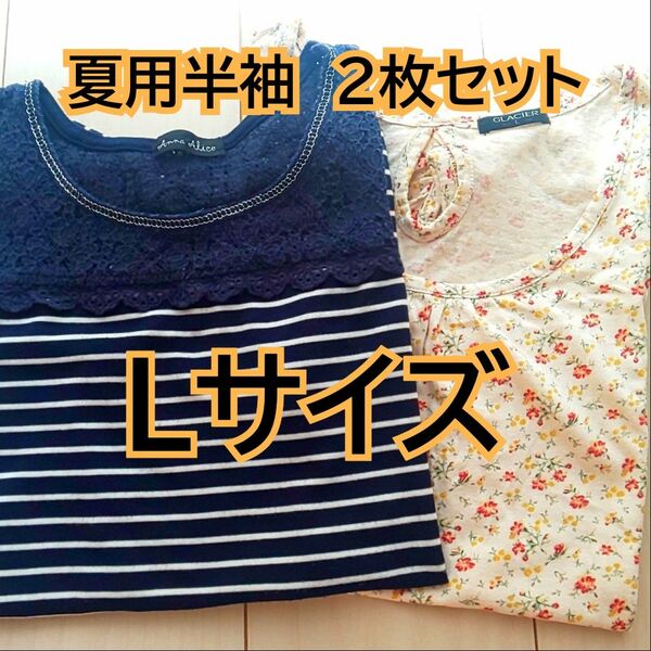 夏用 半袖 まとめ売り Tシャツ トップス