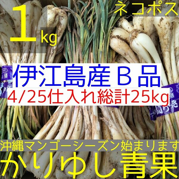 〈当店イチオシ〉伊江島産 島らっきょうＢ品約１kg【ネコポス】②